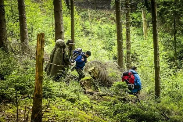 Drei Personen mit Rucksäcken bewegen sich durch einen bewaldeten Bereich