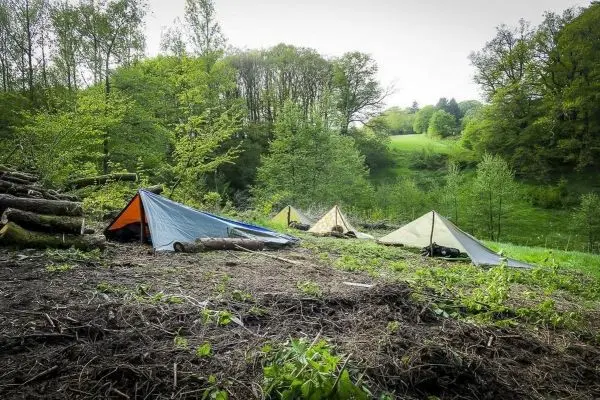 Drei Tarp-Notunterkünfte stehen auf einer gerodeten Fläche im Wald