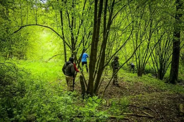 Grüne Waldlandschaft mit mehreren Personen, die zwischen Bäumen hindurchgehen