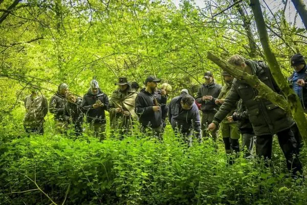 Gruppe untersucht Pflanzen im dichten, grünen Unterholz eines Waldes