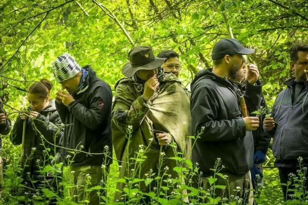 Gruppe von Personen riecht an Pflanzen im Wald beim Überlebenstraining