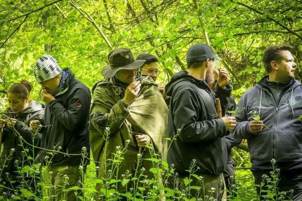 Gruppe von Personen untersucht Pflanzen im Wald, einige halten Blätter in der Hand