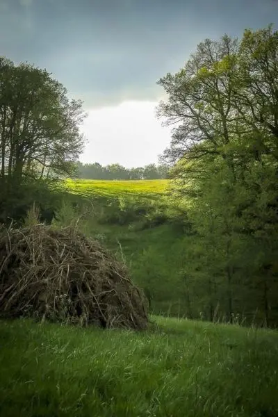 Haufen aus Ästen und Gras vor einer grünen Wiese mit Bäumen im Hintergrund