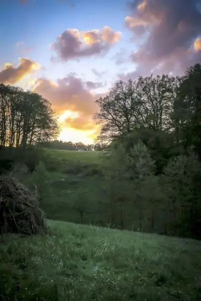 Landschaft mit Bäumen und Hügeln unter einem bunten Himmel bei Sonnenuntergang