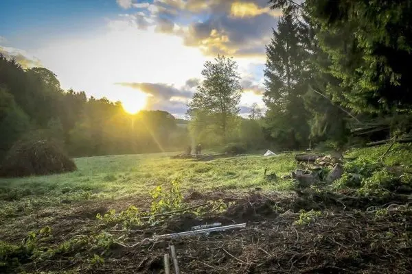 Lichtstrahlen scheinen durch Bäume auf eine Wiese mit Holzstapel und Tarp-Notunterkunft