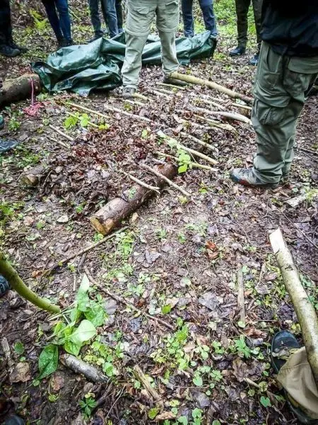 Personen stehen um eine selbstgebaute Struktur aus Ästen und Blättern