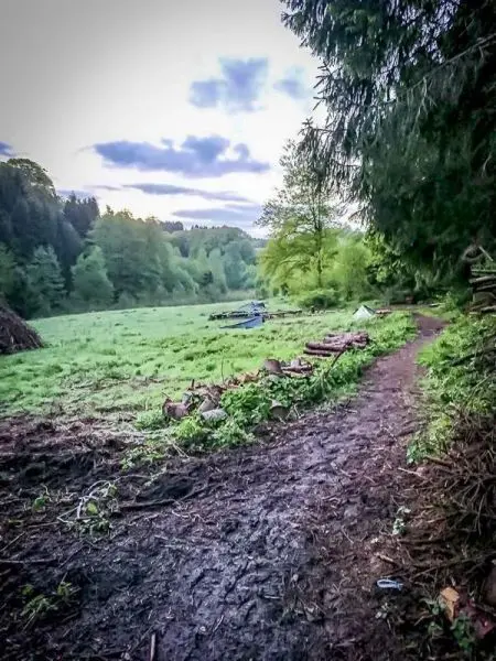 Schmaler Pfad führt durch eine bewaldete Wiese mit Holzstapeln und Zelten