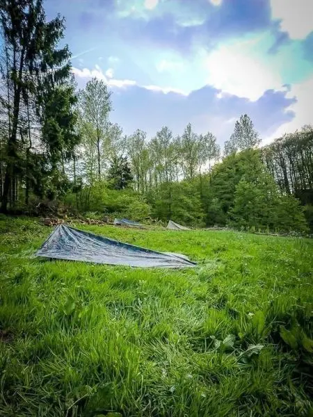 Tarp-Notunterkünfte liegen auf einer Wiese umgeben von Bäumen