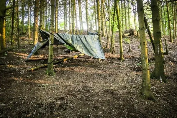 Tarp-Notunterkunft hängt zwischen Bäumen im Wald