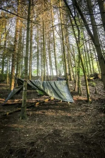 Tarp-Notunterkunft hängt zwischen Bäumen im Wald, um Schutz zu bieten