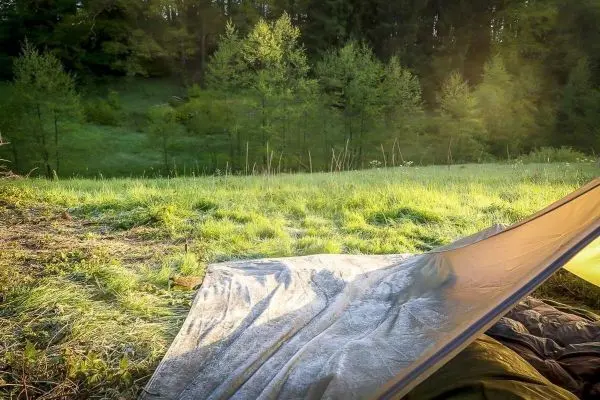 Tarp-Notunterkunft liegt auf feuchtem Gras in einer Waldlandschaft