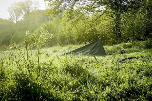 Tarp-Notunterkunft steht in einer grünen Wiese zwischen Bäumen