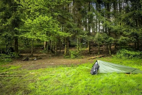 Zelt steht auf einer Wiese im Wald mit Rucksack daneben