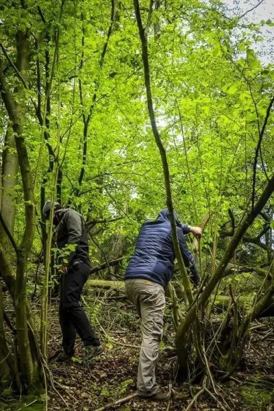 Zwei Personen bearbeiten Äste im dichten, grünen Unterholz