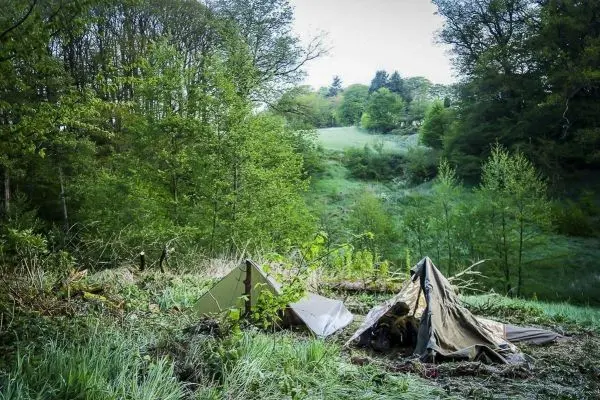 Zwei Tarp-Notunterkünfte stehen in einer bewaldeten Umgebung