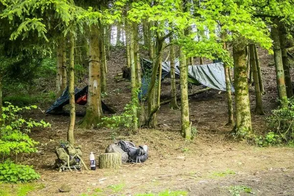 Zwei Tarp-Notunterkünfte zwischen Bäumen, Rucksäcke und eine Flasche auf dem Boden