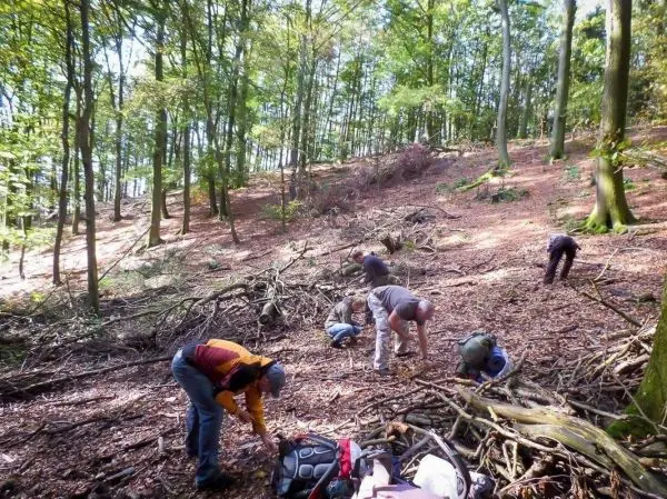 Gruppierung von Personen sammelt Äste und Materialien im Wald