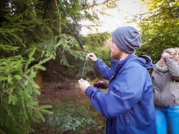 Mann befestigt eine Schnur an einem Baumzweig im Wald