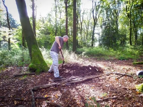 Mann gräbt mit einer Schaufel in einem Waldgebiet