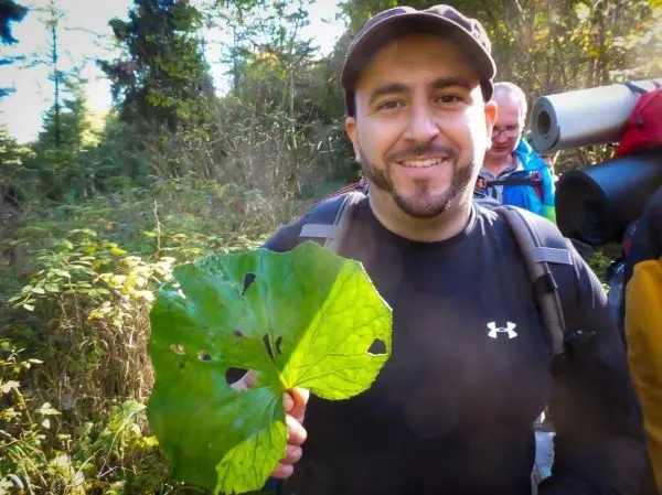 Mann hält großes Blatt in der Hand, im Hintergrund Rucksackträger