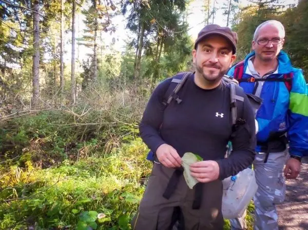 Person hält ein Blatt in der Hand, Person steht daneben im Wald