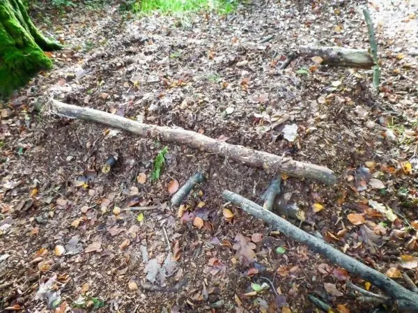 Schlagfalle (Figure-Four/4er-Falle) aus Holzstücken im Laub