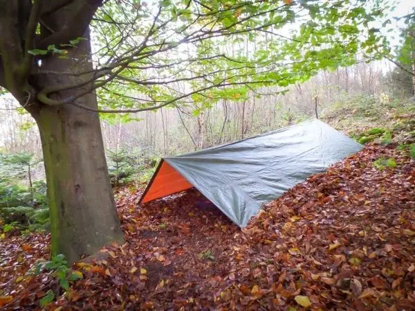 Tarp-Notunterkunft unter einem Baum, umgeben von Laub und Bäumen