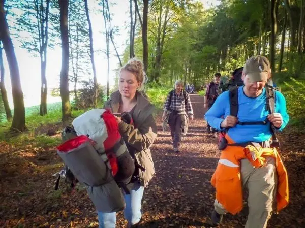 Wanderer tragen Rucksäcke auf einem Waldweg zwischen Bäumen