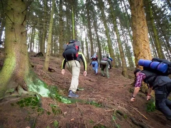 Wandernde Personen mit Rucksäcken steigen einen steilen Waldweg hinauf