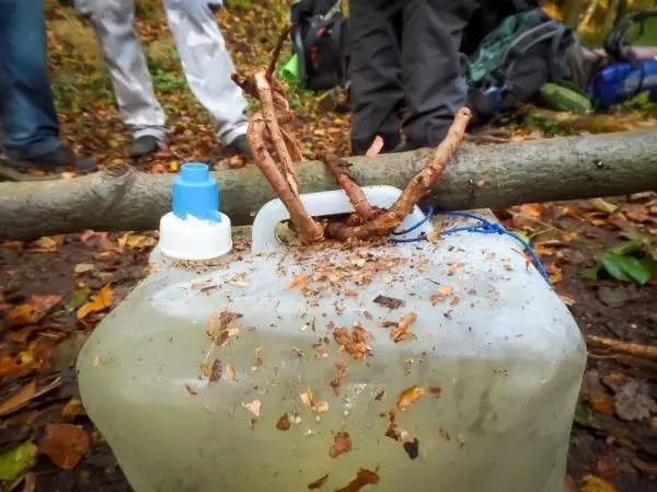 Wasserbehälter mit improvisierter Abdeckung aus Ästen und Holzspänen