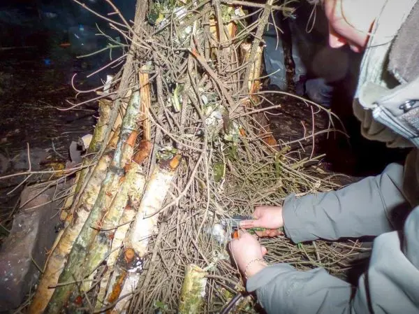 Zunder wird in eine Holzstruktur eingelegt