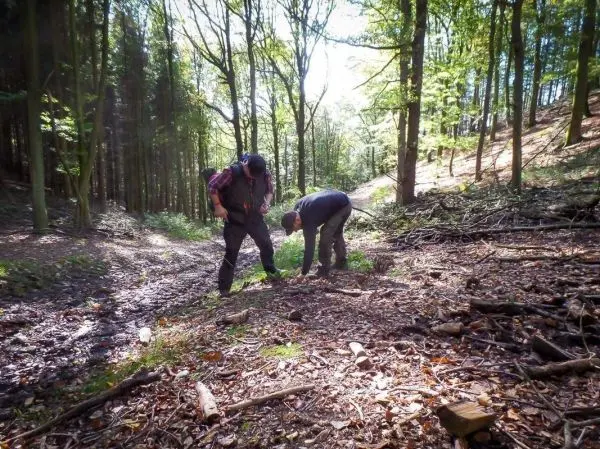 Zwei Personen untersuchen den Boden im Wald, umgeben von Bäumen und Laub