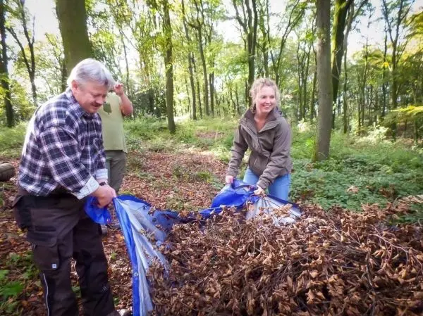Zwei Personen ziehen gemeinsam eine Plane mit Laub durch den Wald
