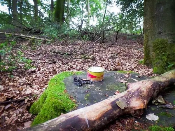 Dose steht auf einem moosbedeckten Stein, daneben liegt ein Holzstück