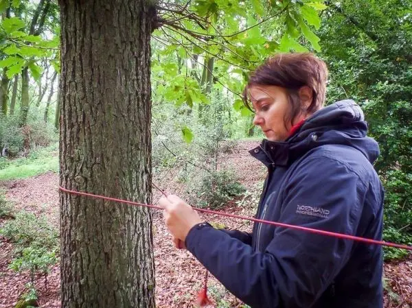 Frau knotet eine Schnur um einen Baumstamm im Wald