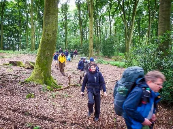 Gruppe wandert auf einem Waldweg zwischen Bäumen und Laub