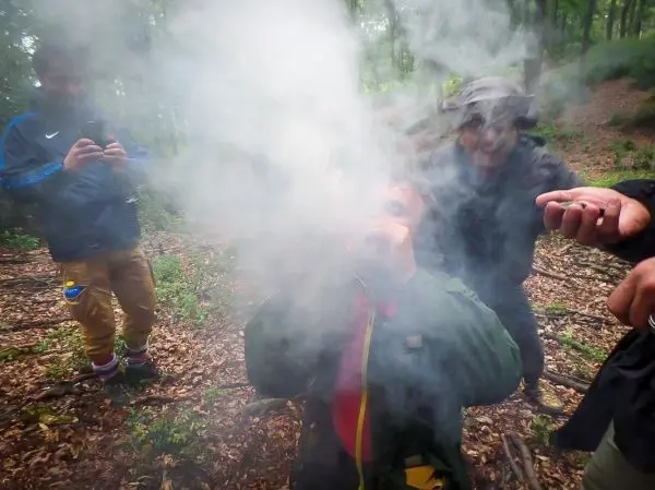 Kleines Bodenfeuer erzeugt Rauch in einem Waldgebiet