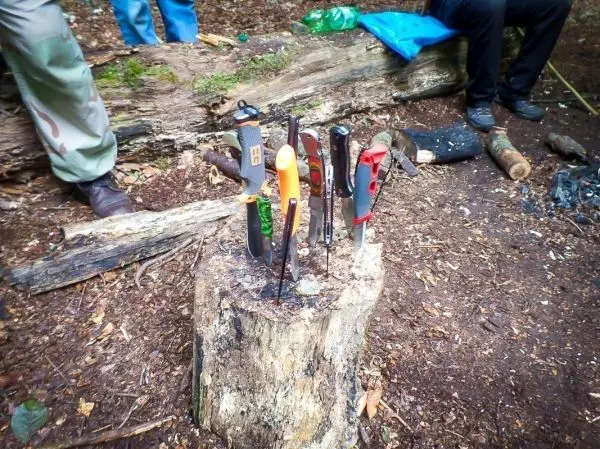 Mehrere Messer stecken in einem Baumstumpf im Wald