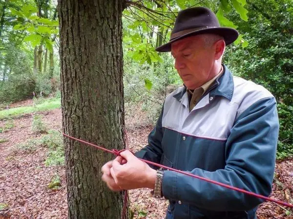 Person bindet ein Seil um einen Baum