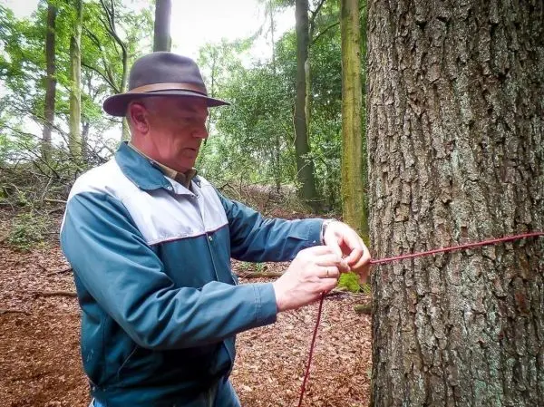 Person bindet ein Seil um einen Baumstamm