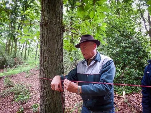 Person knotet ein Seil an einem Baum