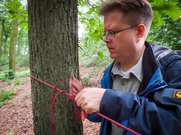 Person knotet ein Seil um einen Baum im Wald