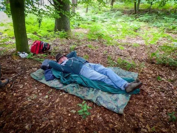 Person liegt auf einer Isomatte im Wald zwischen Bäumen und Farnen