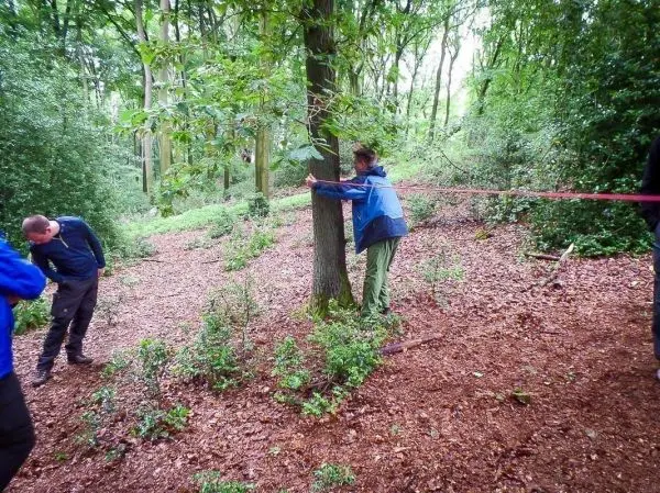 Person umschlingt Baumstamm mit einem Seil im Wald