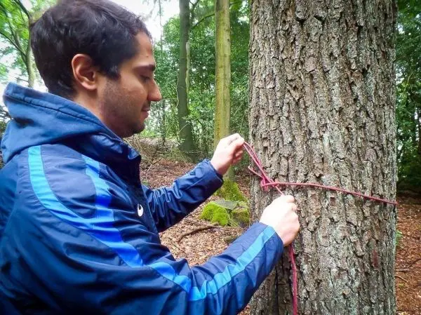 Seil wird um einen Baumstamm gewickelt und befestigt