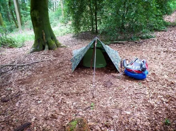 Tarp-Notunterkunft unter Bäumen mit Rucksack daneben auf Laubboden