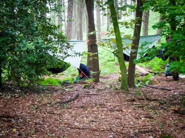 Tarp-Notunterkunft zwischen Bäumen, Abspannschnüre und Unterholz sichtbar