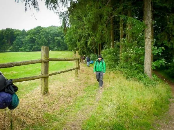 Wanderer auf einem Pfad entlang eines Zauns, umgeben von Bäumen und Wiese