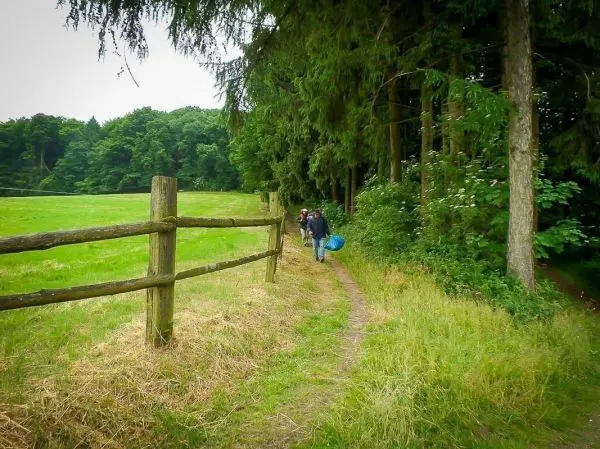 Wanderer auf einem Pfad entlang eines Zauns, umgeben von Bäumen und Wiese