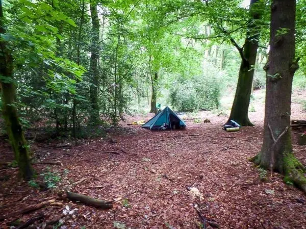 Zelt steht auf dem Laubboden im Wald zwischen Bäumen